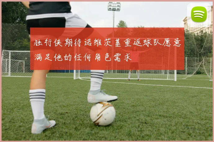 独行侠期待诺维茨基重返球队愿意满足他的任何角色需求