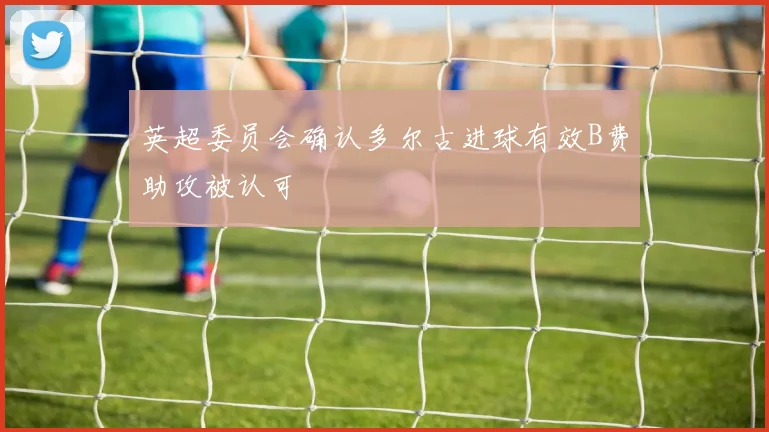 英超委员会确认多尔古进球有效B费助攻被认可
