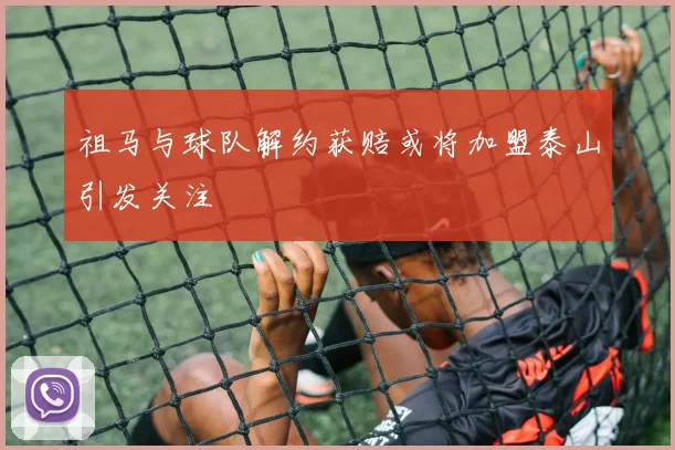 祖马与球队解约获赔或将加盟泰山引发关注